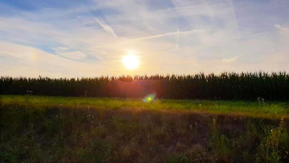 Vakantiewoning Henisdael Heers Экстерьер фото